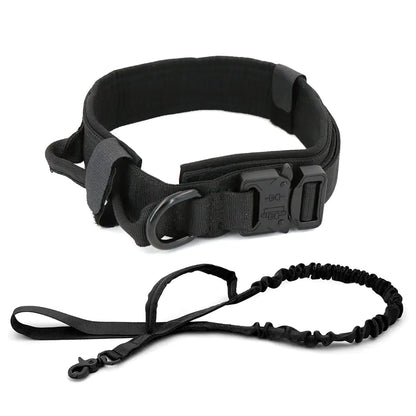 Heavy duty Dog Collar