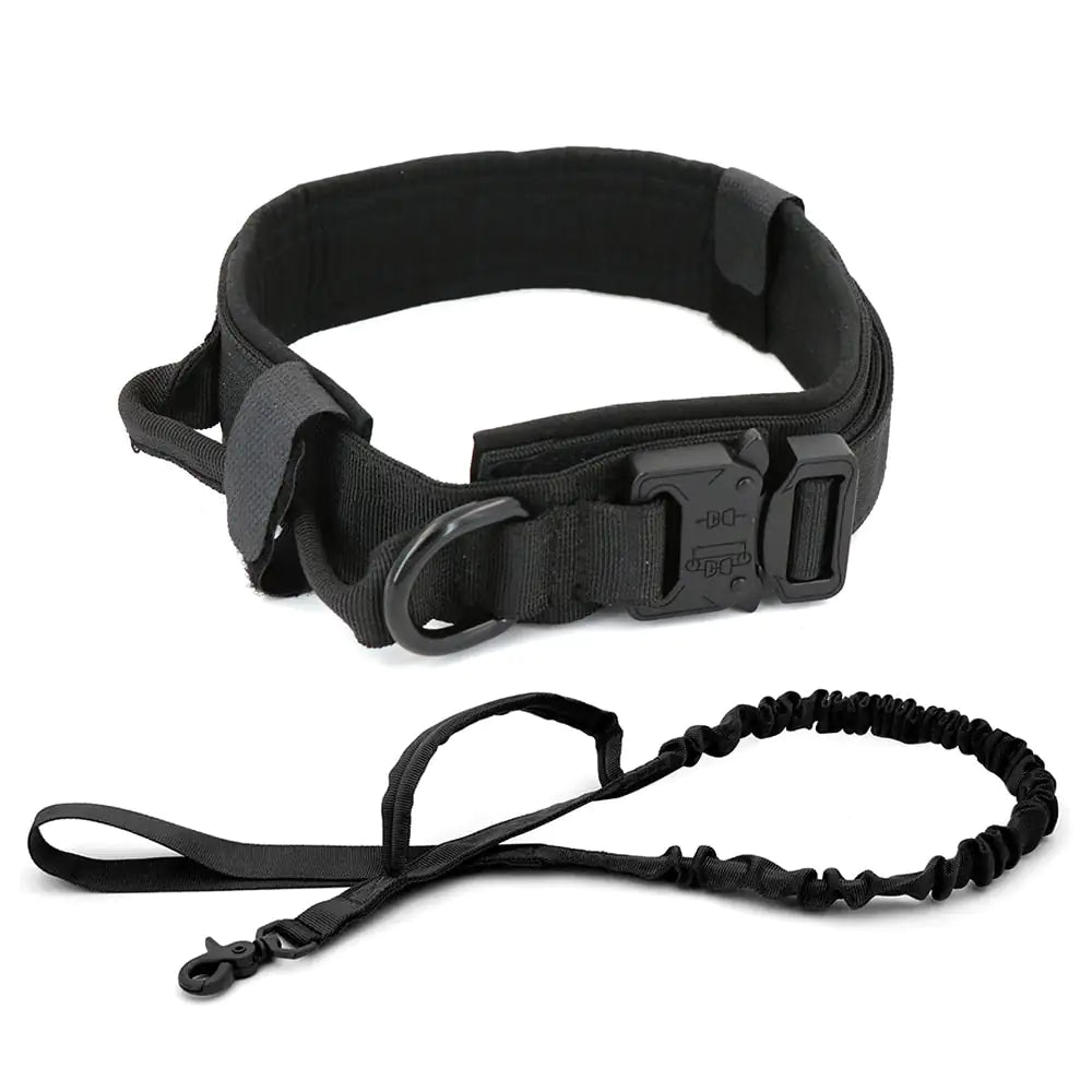 Heavy duty Dog Collar